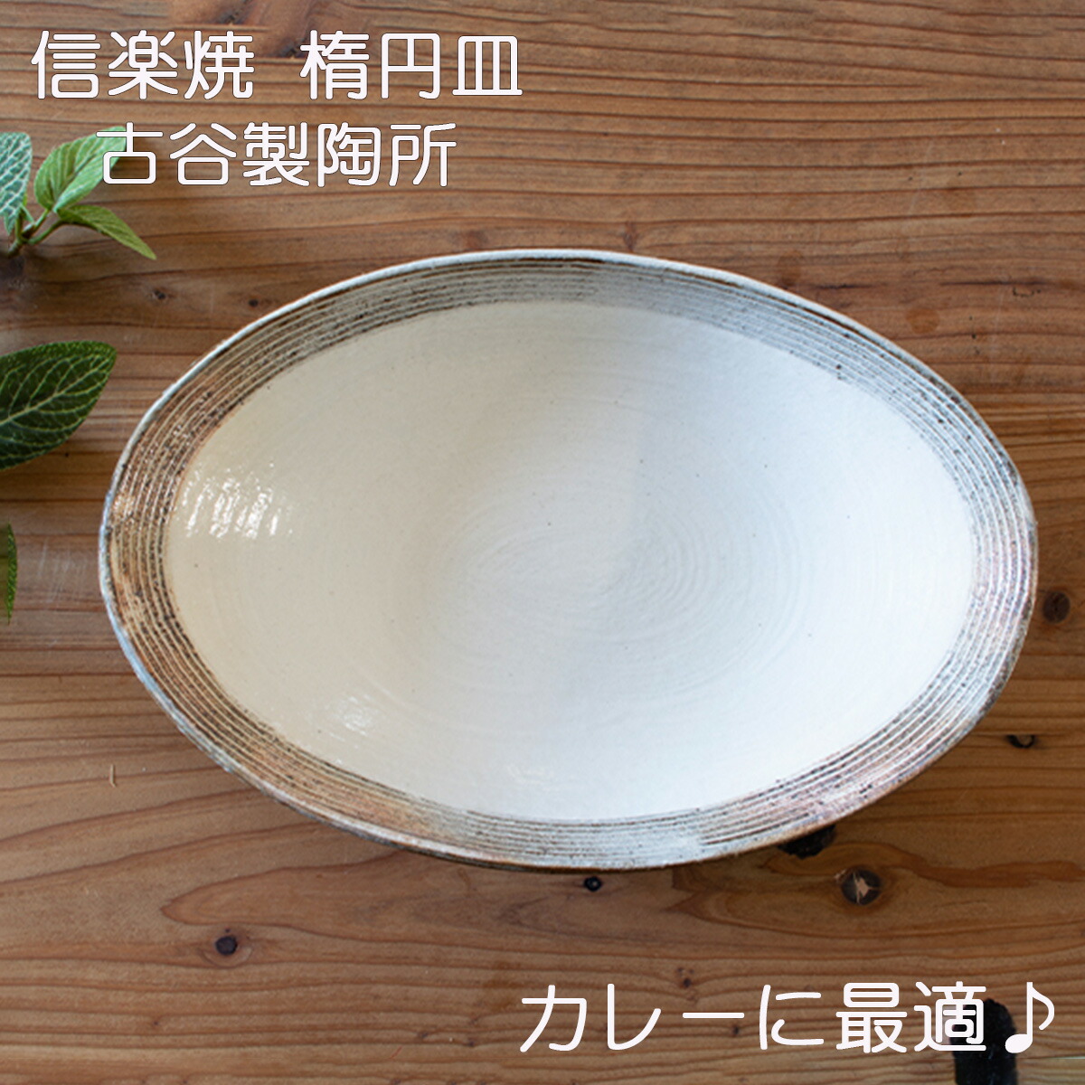 楽天市場】信楽焼 楕円皿 渕荒横彫 中サイズ 古谷製陶所作 信楽焼 作家