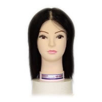 楽天市場】レジーナ lc 50tの通販