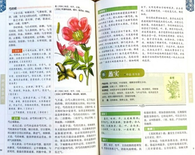 楽天市場】神農本草経 彩絵版 国学経典名作 布面ハードカバー製本 中国