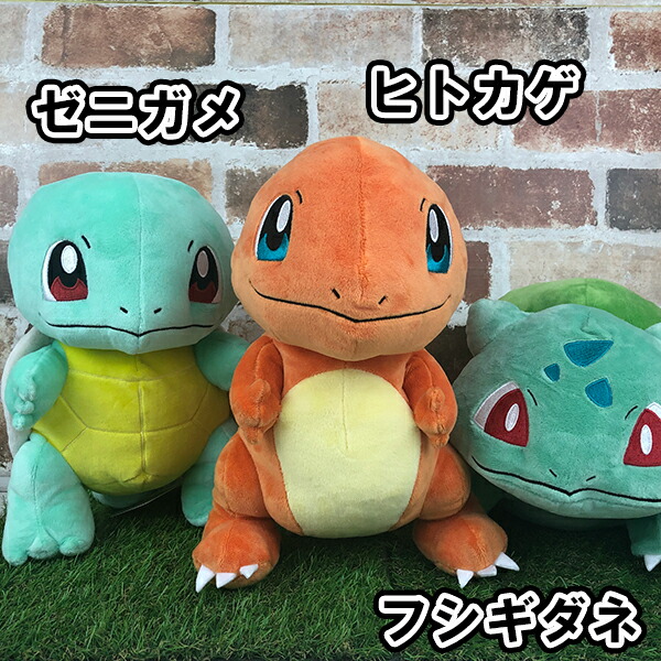 楽天市場】ポケットモンスター ぬいぐるみMサイズ(フシギダネ/ヒトカゲ