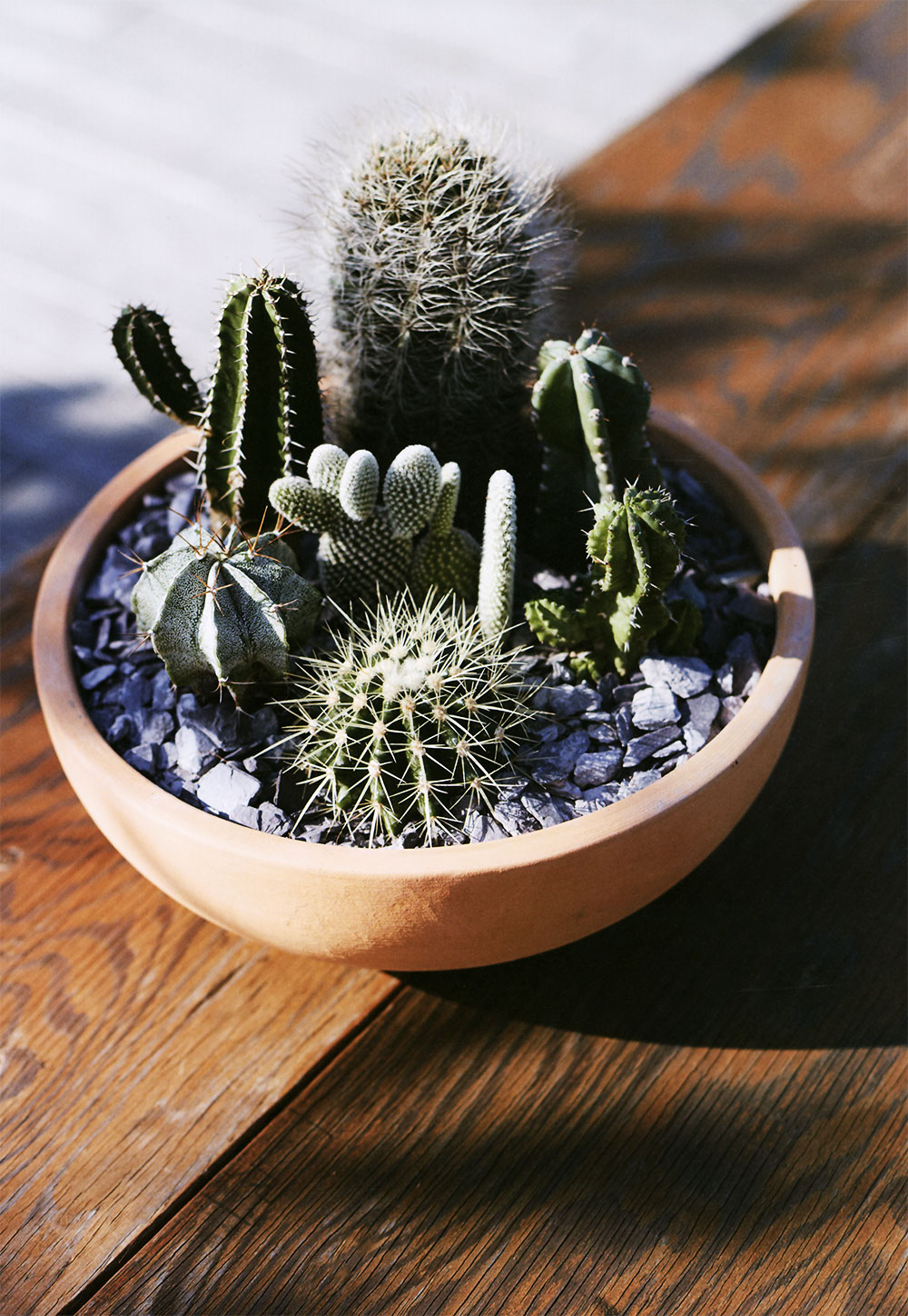 楽天市場】テラコッタ 植木鉢 おしゃれ 人気 プランター おすすめ 観葉