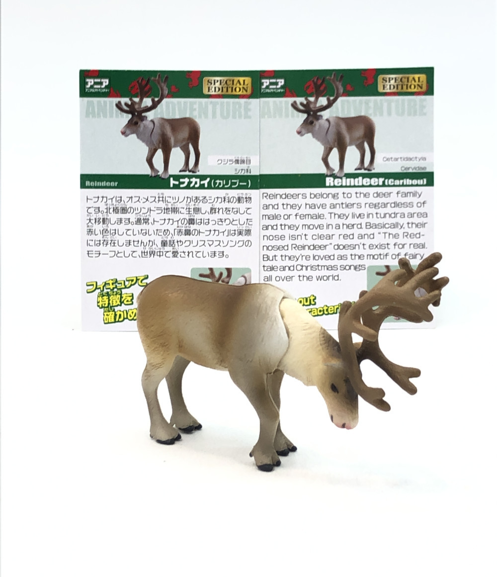 楽天市場】【中古】 アニア アニマルアドベンチャー トナカイ (赤鼻