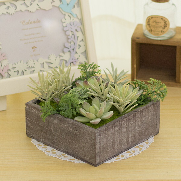 楽天市場】多肉植物 箱庭壁掛け人工観葉植物 アートグリーン消臭抗菌