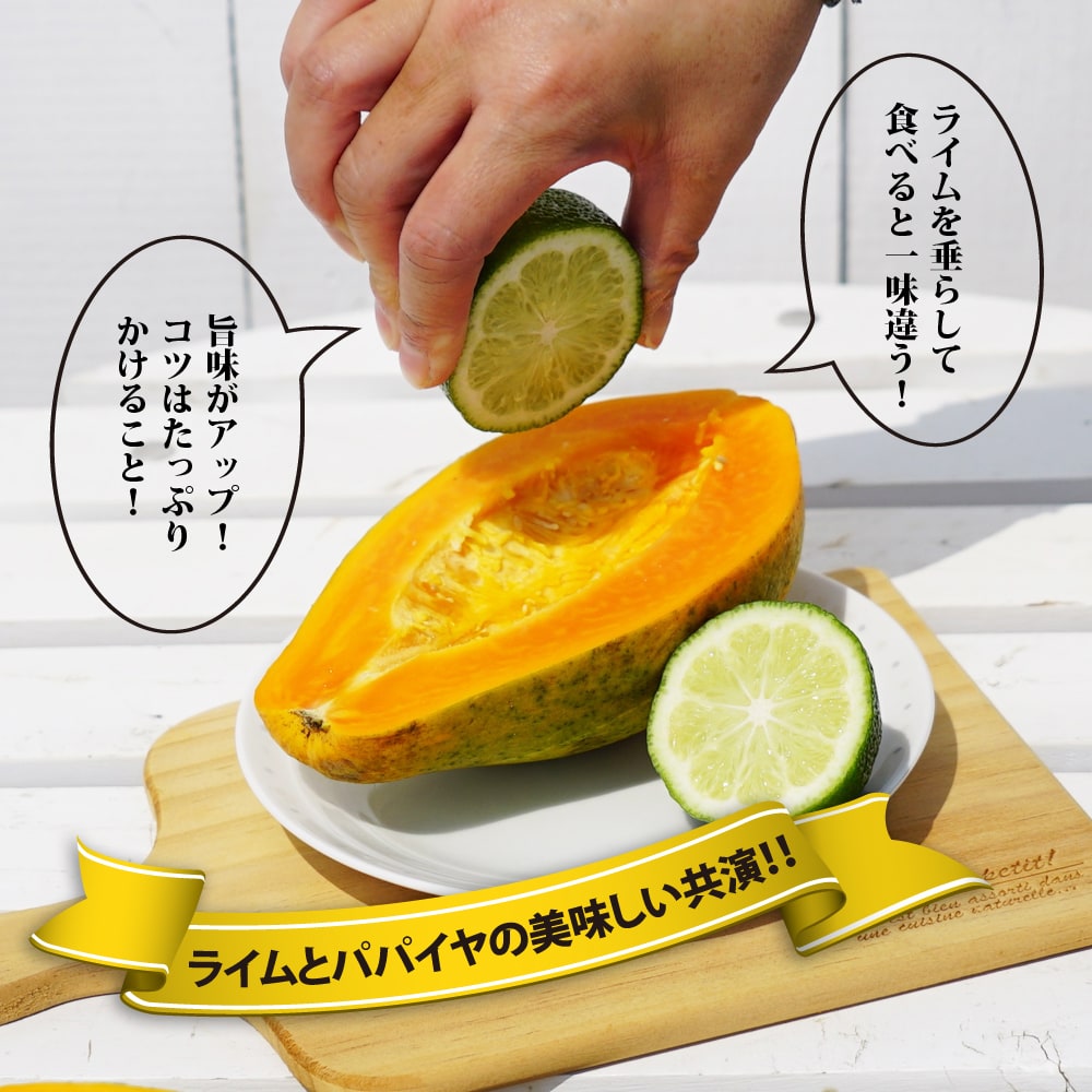 楽天市場】【煌月（こうげつ】 パパイヤ苗 3.5号ポット苗 沖縄県産