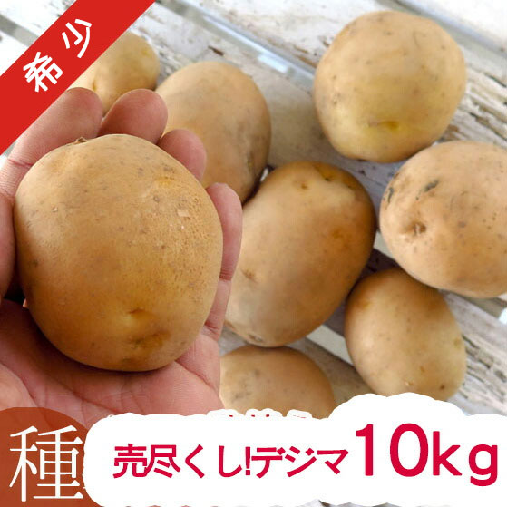 楽天市場】品薄・再販無しじゃがいも 種イモ「デジマ 10kg」(長崎県産