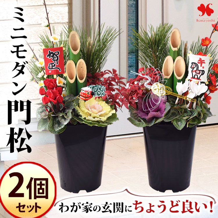 楽天市場】門松 一対 のミニモダン門松 2個セット 華やか 寄せ植え