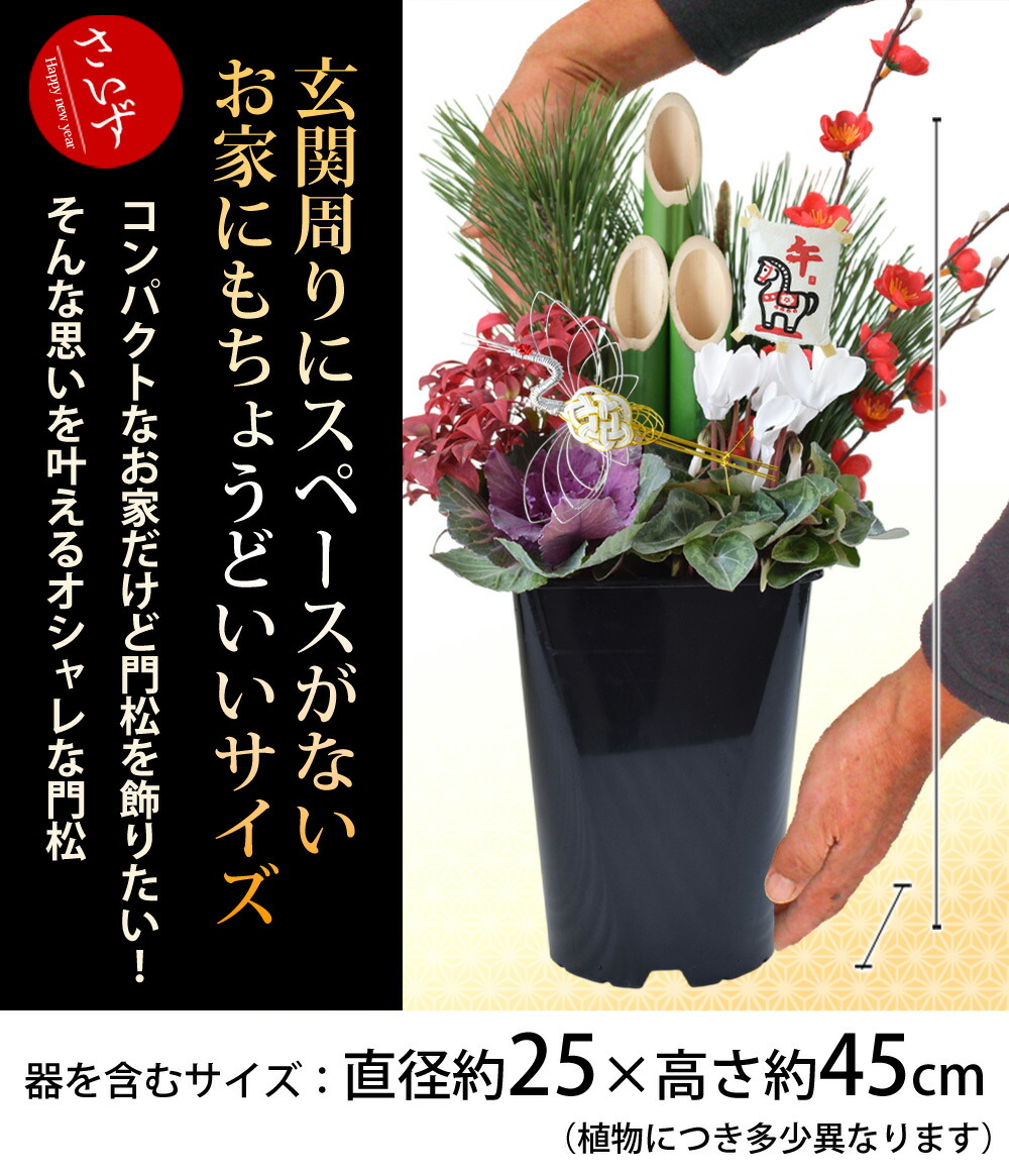 楽天市場】門松 一対 のミニモダン門松 2個セット 華やか 寄せ植え