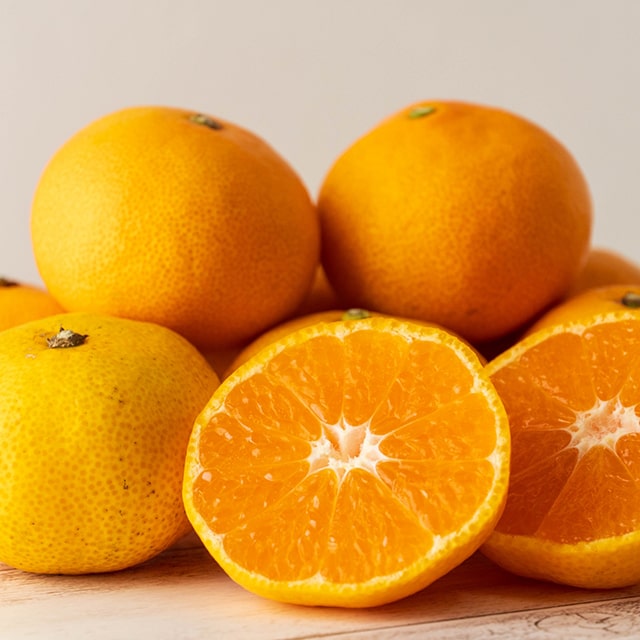 楽天市場】□優良2年生大苗□ みかん 苗木 【種なし小みかん 無核紀州