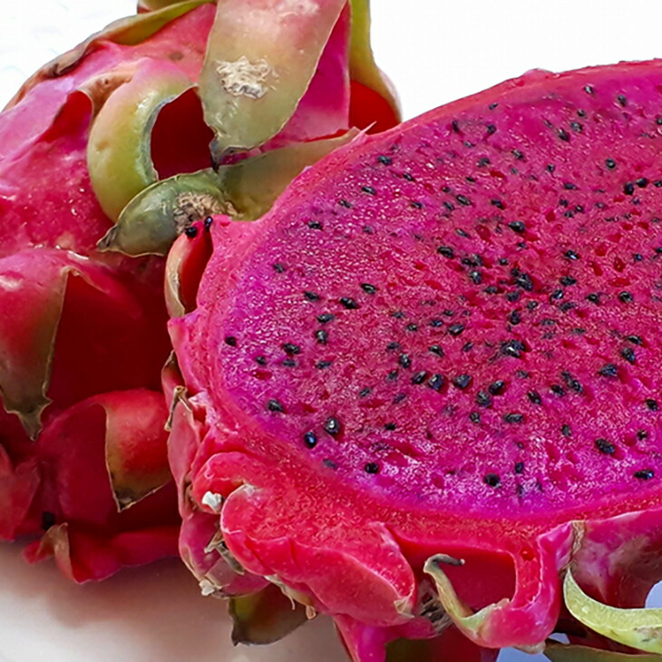 楽天市場】ドラゴンフルーツ 苗 【ドラゴンフルーツ （赤肉）】 ポット