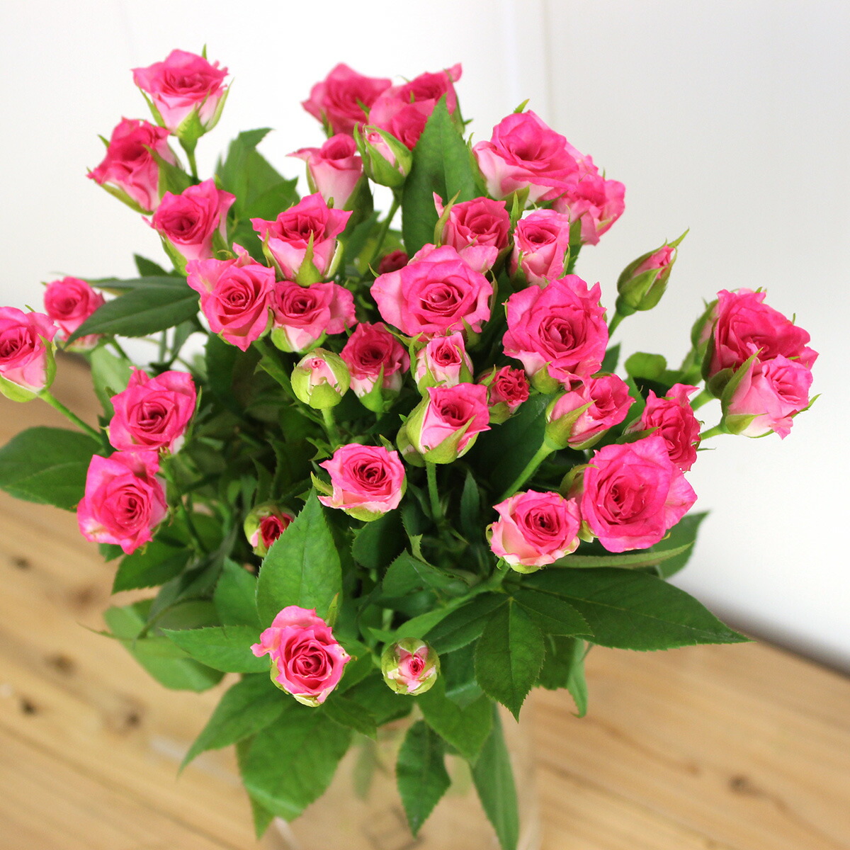 楽天市場】【生花】SPバラおまかせ 濃いピンク（品種おまかせ