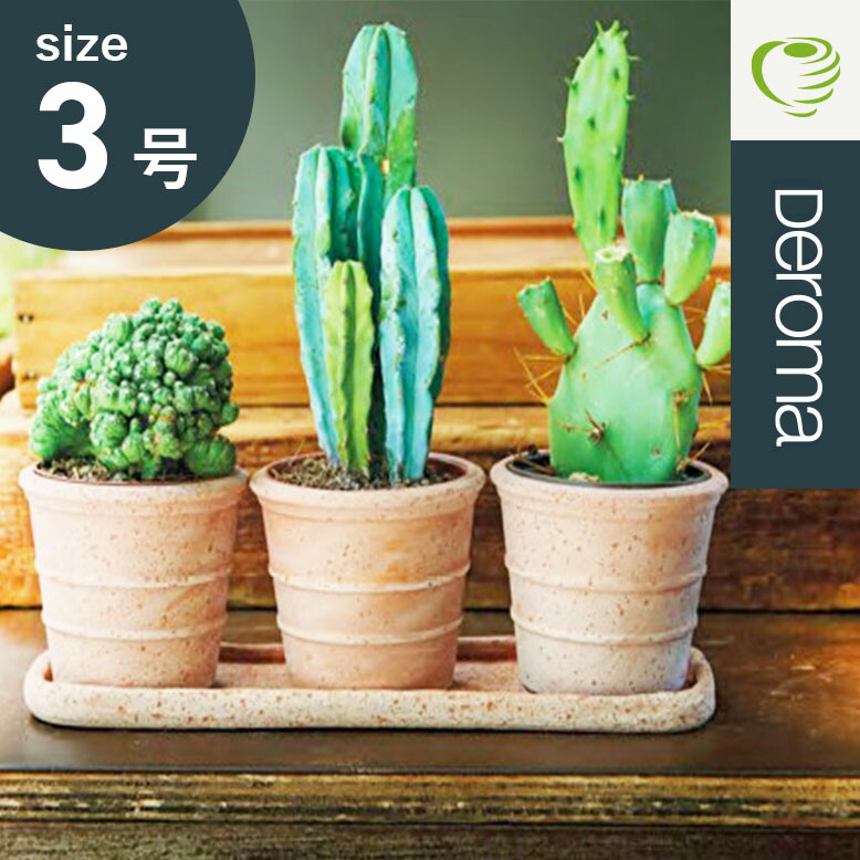 楽天市場】植木鉢 素焼き テラコッタ 3号鉢 おしゃれ 陶器 プランター