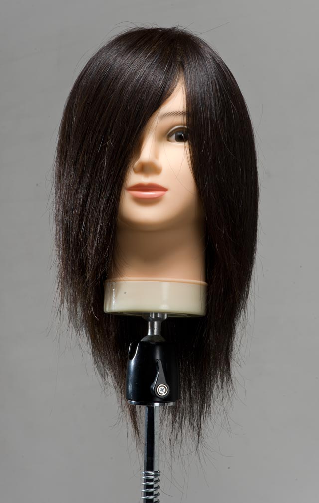 楽天市場】【送料無料】Emilly カットウィッグ (100％人毛) 練習