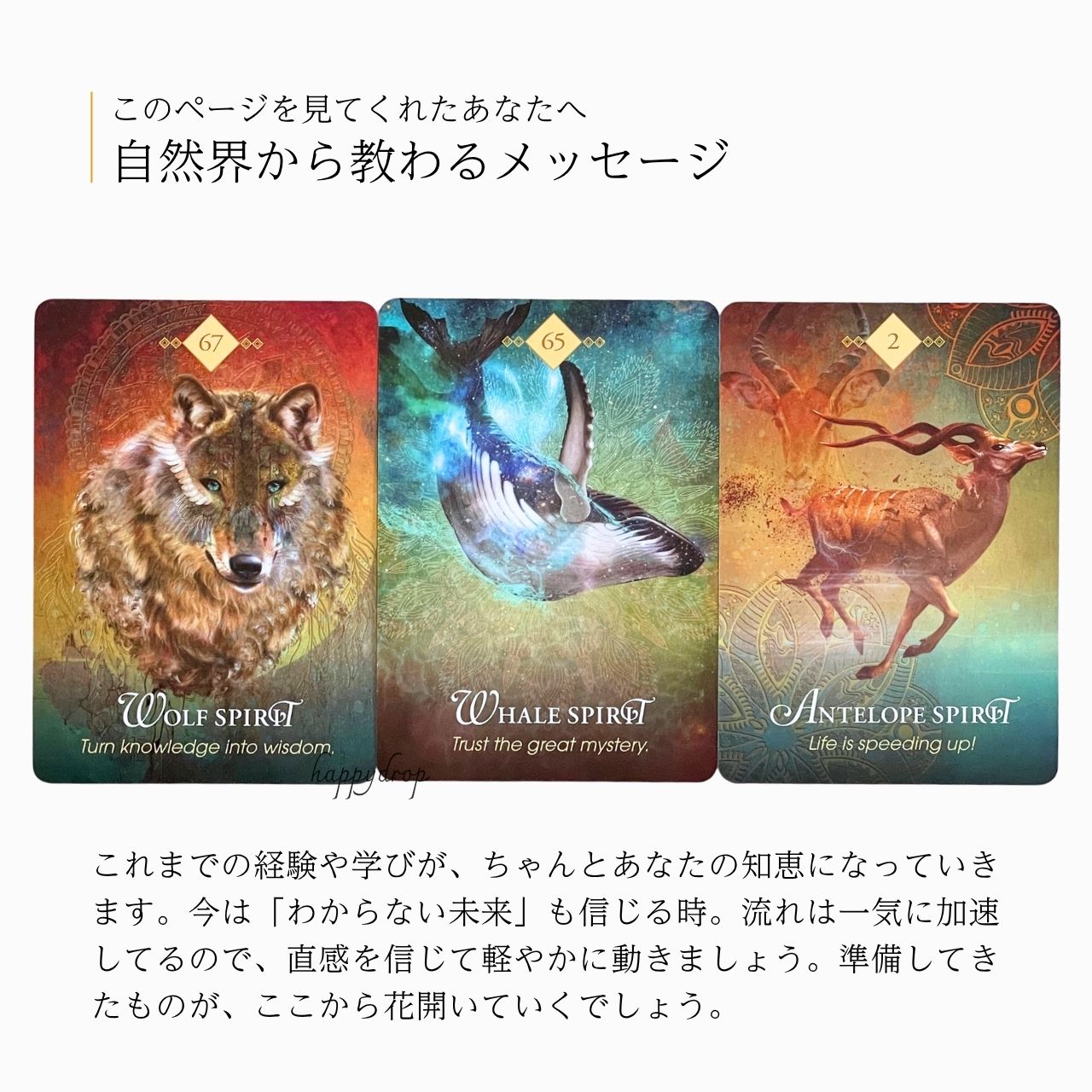 楽天市場】スピリットアニマルオラクル オラクルカード 日本語版 日本