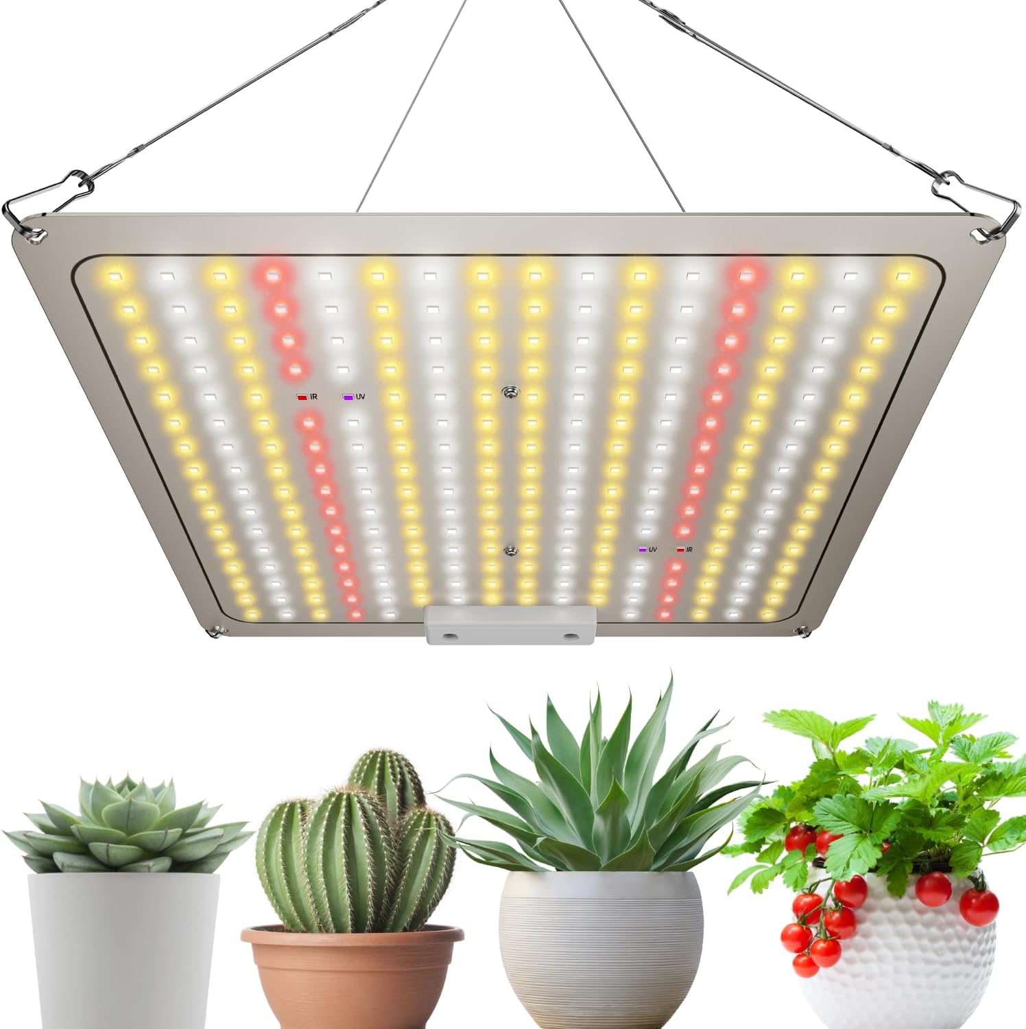 楽天市場】＼赤字覚悟☆先着様破格セール中！／植物育成ライト led