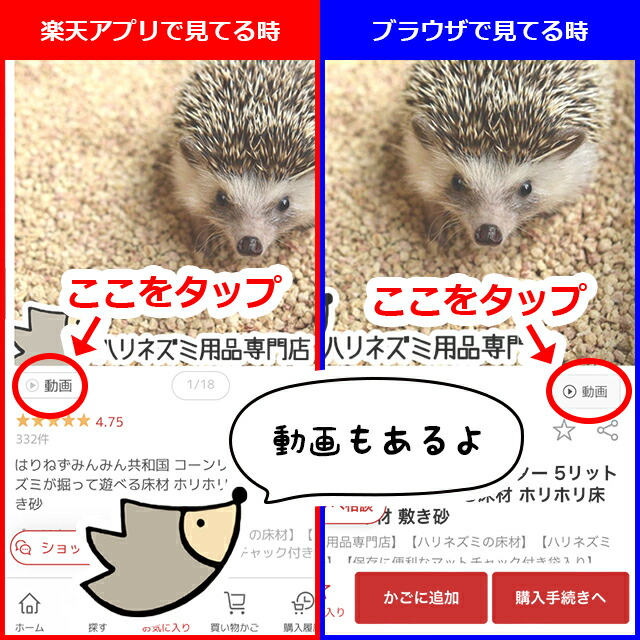 楽天市場】暖突 Mサイズ レップジャパン 赤外線上部ヒーター ケージ