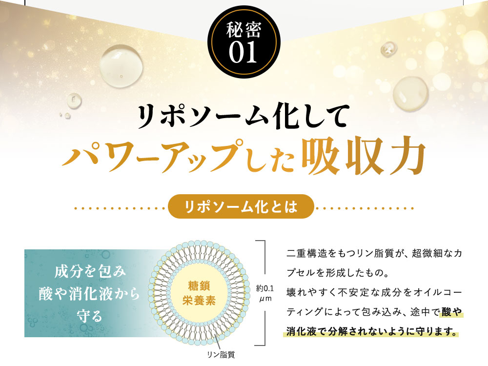 楽天市場】【楽天スーパーSALE限定 20％OFF】 リポ糖鎖 リポソーム糖鎖