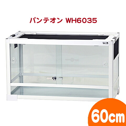 楽天市場】パンテオン ホワイト WH6035【一度のご注文で1個まで