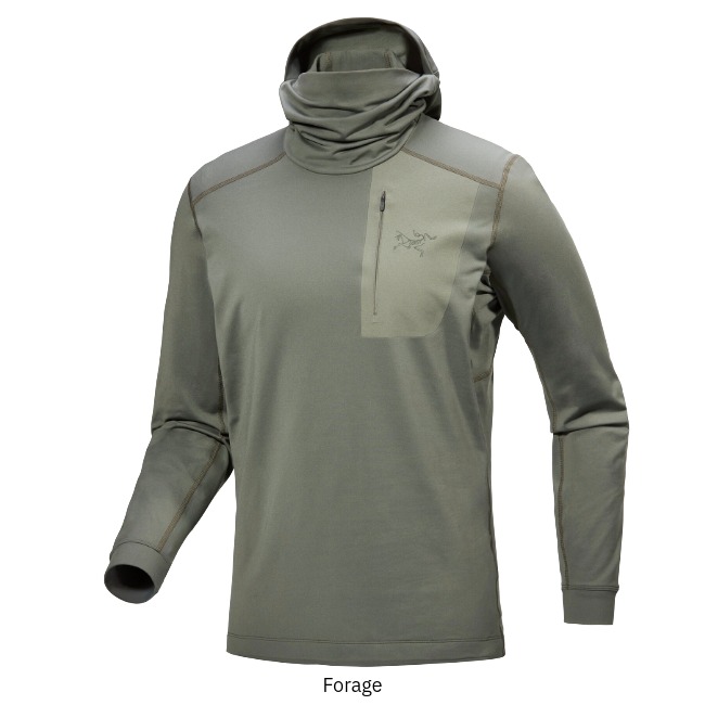 楽天市場】アークテリクス ARC'TERYX ロー LT フーディ メンズ Rho LT