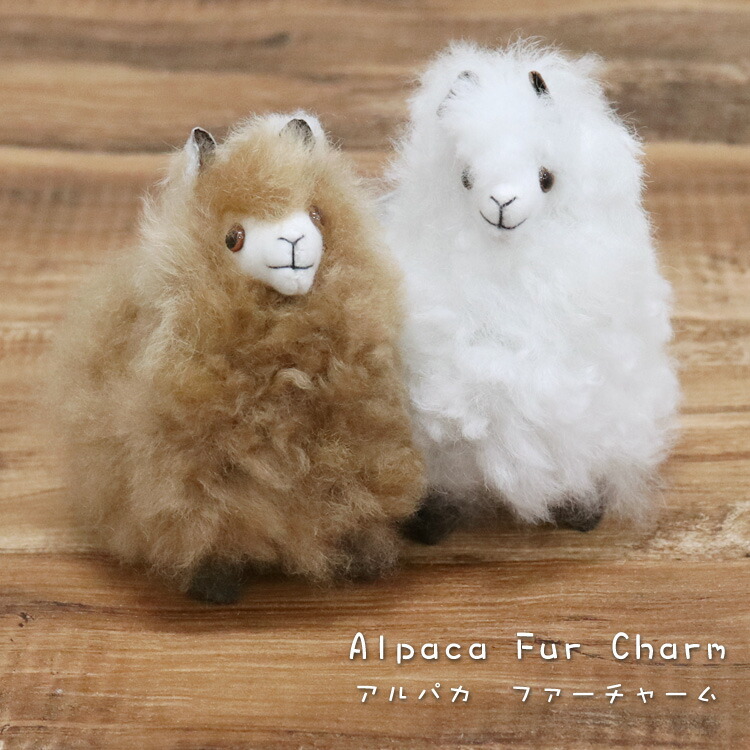 楽天市場】ベビーアルパカ ファー チャーム キーホルダー ぬいぐるみ