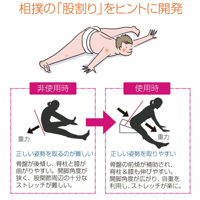 楽天市場】サンテプラス フレックスクッション（ 本体のみ、本体＋DVD