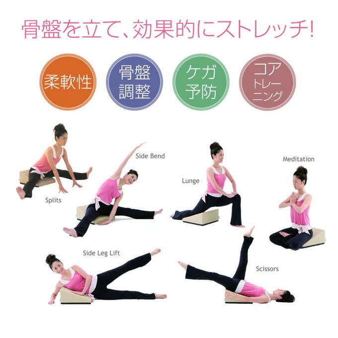 楽天市場】サンテプラス フレックスクッション（ 本体のみ、本体＋DVD