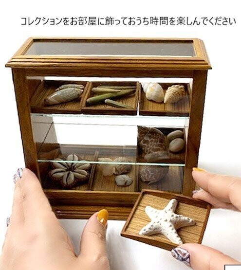 楽天市場】水石 台座 木製ミニガラスショーケース 石 ストーン ルース