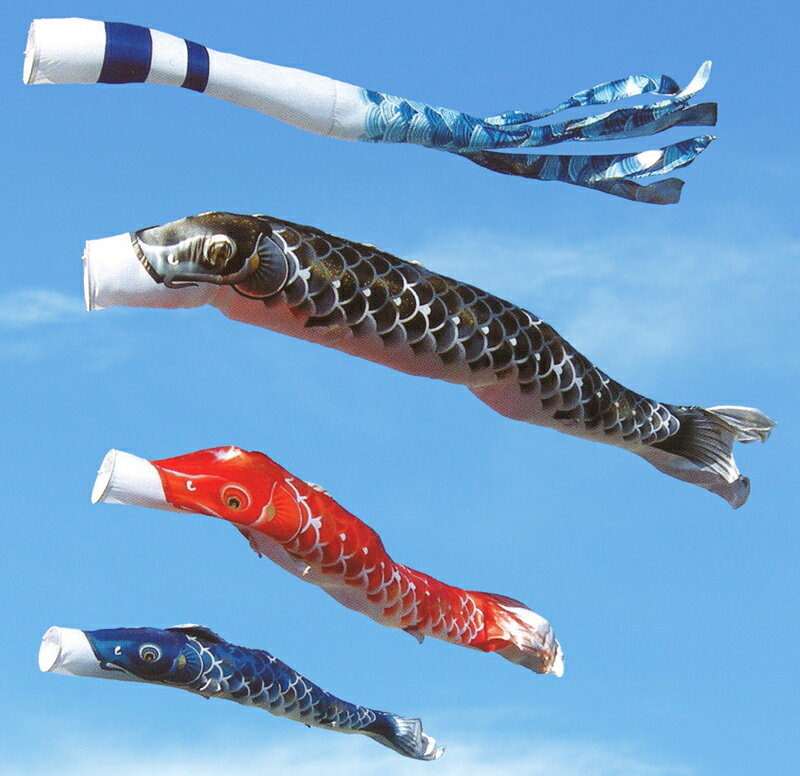 楽天市場】こいのぼり 旭鯉 鯉のぼり 庭園用 3m ガーデンセット 悠悠