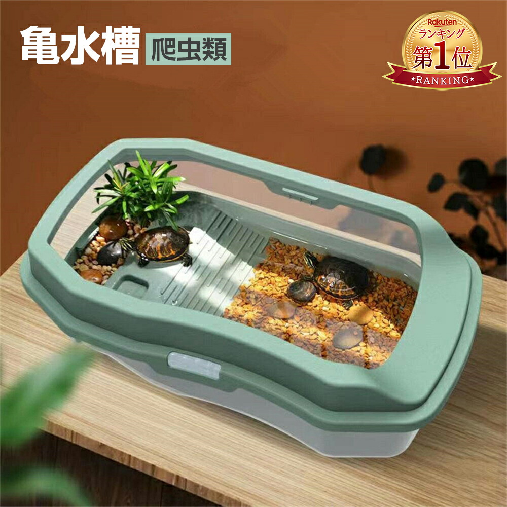 楽天市場】『楽天1位』亀水槽 爬虫類 亀の水槽 飼育ケース 飼育区域
