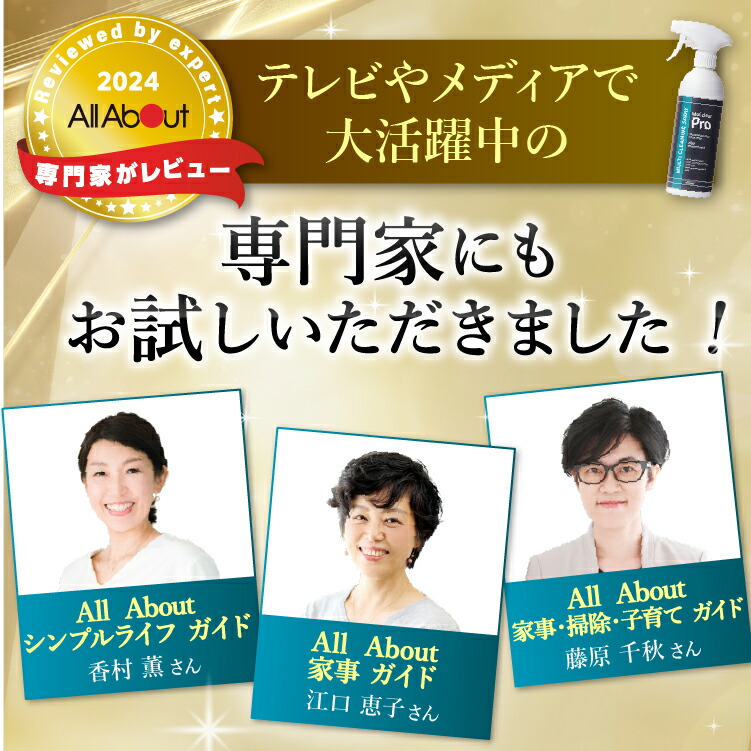 楽天市場】モルクリアプロ カビ取り 超強力業務用カビ取りスプレー