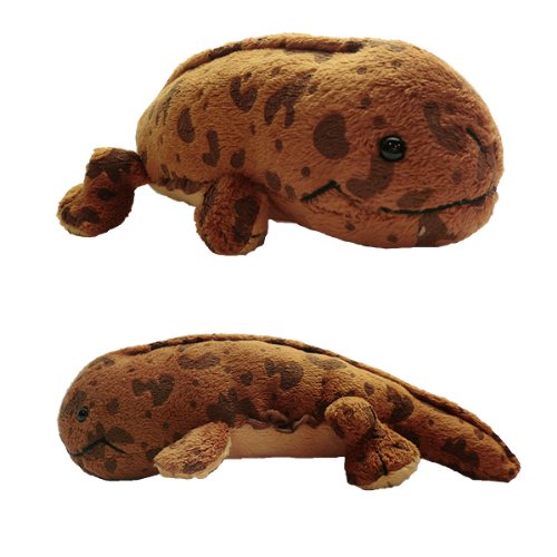 楽天市場】オオサンショウウオ ぬいぐるみ（おもちゃ）の通販