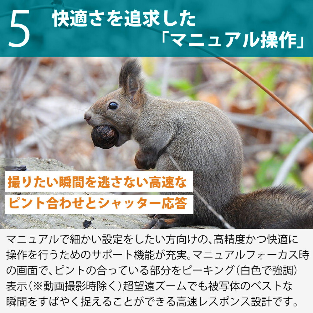 楽天市場】ニコン デジタルカメラ COOLPIX P950 SDカード対応 望遠