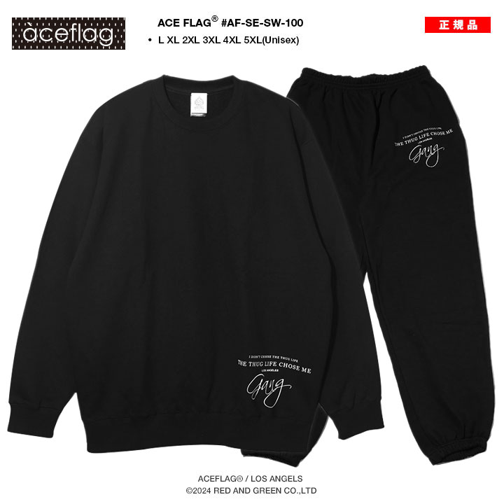 楽天市場】ACE FLAG 上下セット 長袖 ブランド スケボー メンズ 春秋冬