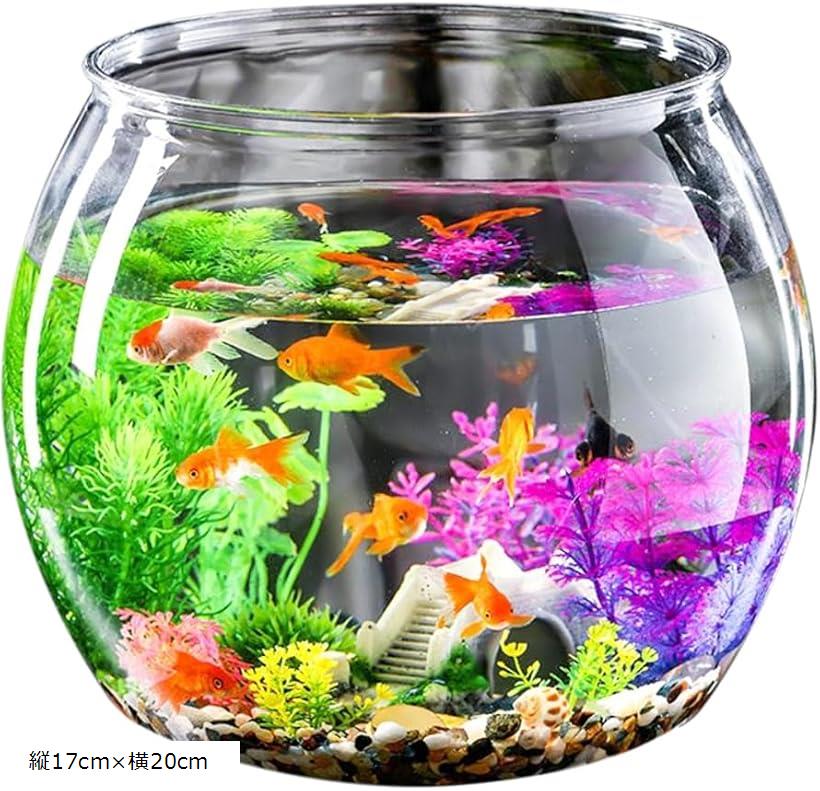 楽天市場】【楽天ランキング1位入賞】金魚鉢 アクリル水槽 透明 メダカ