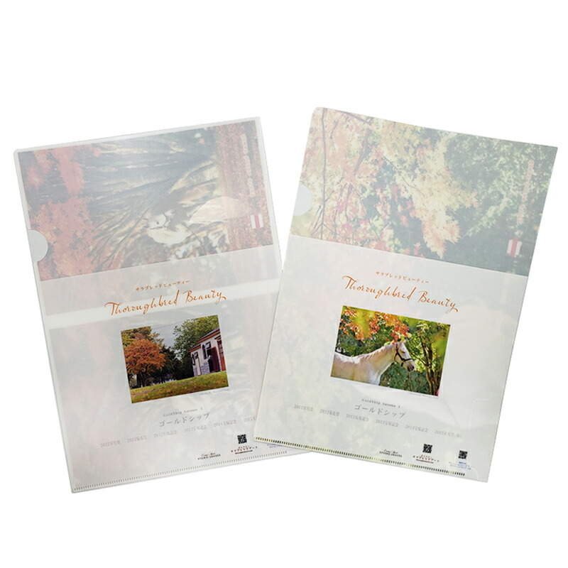 楽天市場】ゴールドシップ号クリアファイル2枚セット【秋】ゴルシの