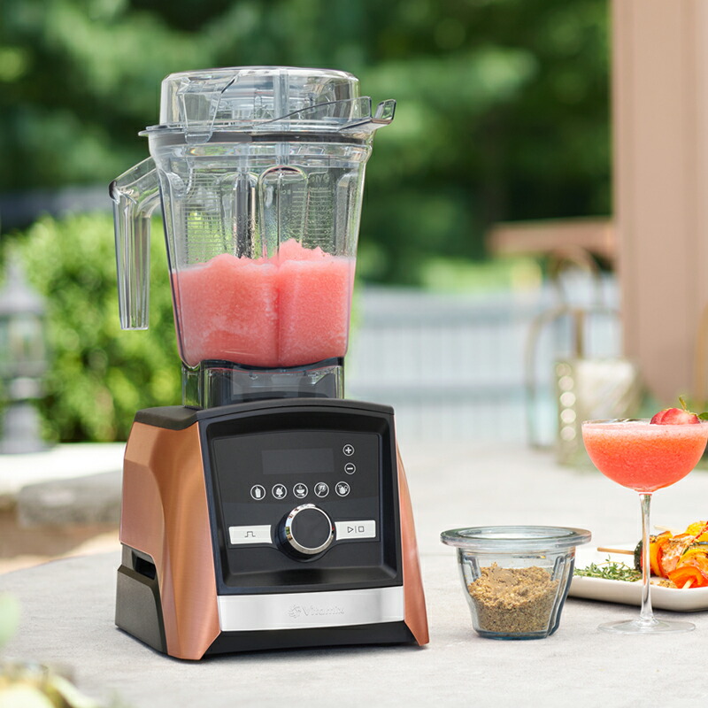 Vitamix ミキサー VMO111 バイタミックス 2017年製 バイタミックス