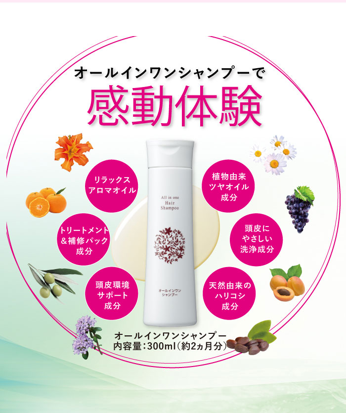 楽天市場】【公式】オールインワン シャンプー 300ml [リンスイン