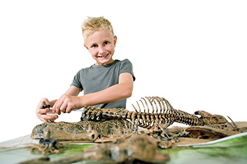 楽天市場】EDU-TOYS エデュトイ 恐竜工作 キット 51ピース