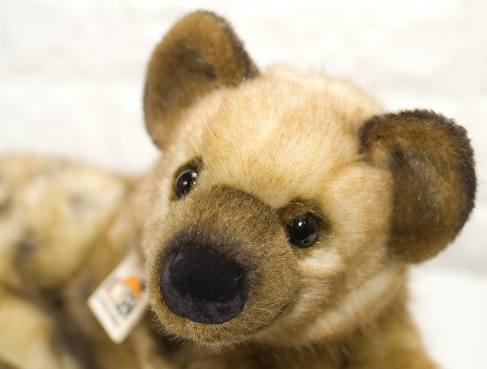 楽天市場】ケーセン ぬいぐるみ Kosen ハイエナ 44cm Hyena Lulonga
