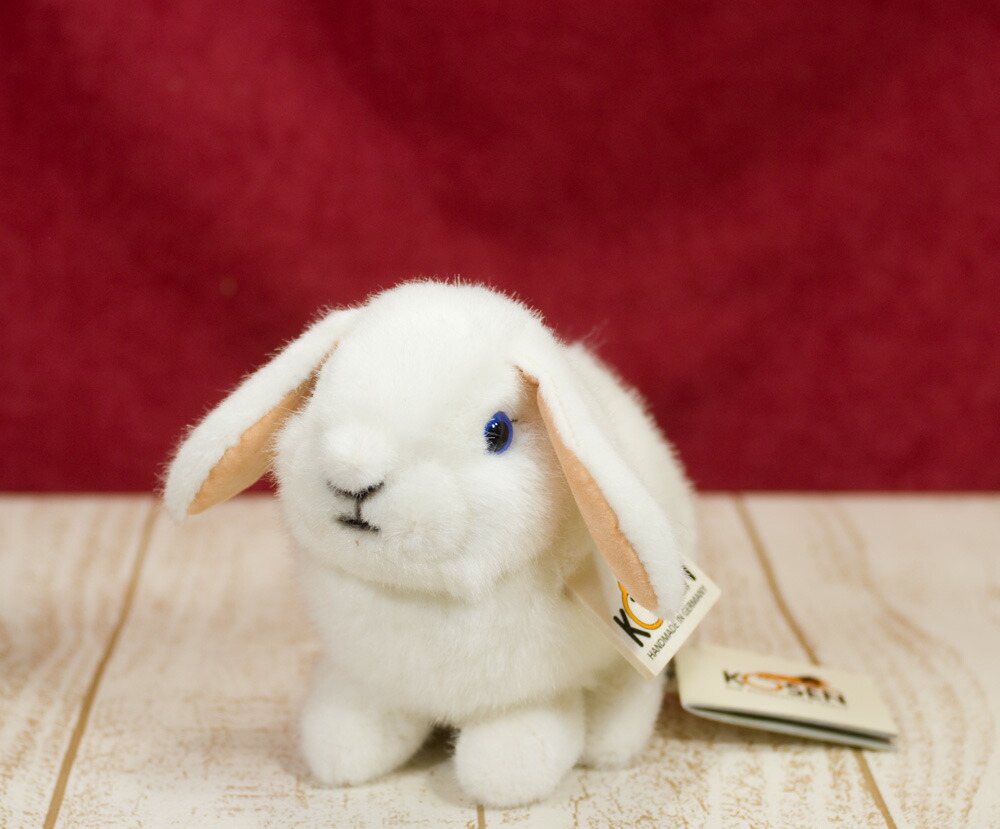 楽天市場】ケーセン ぬいぐるみ kosen ドワーフロップの子 白 うさぎ