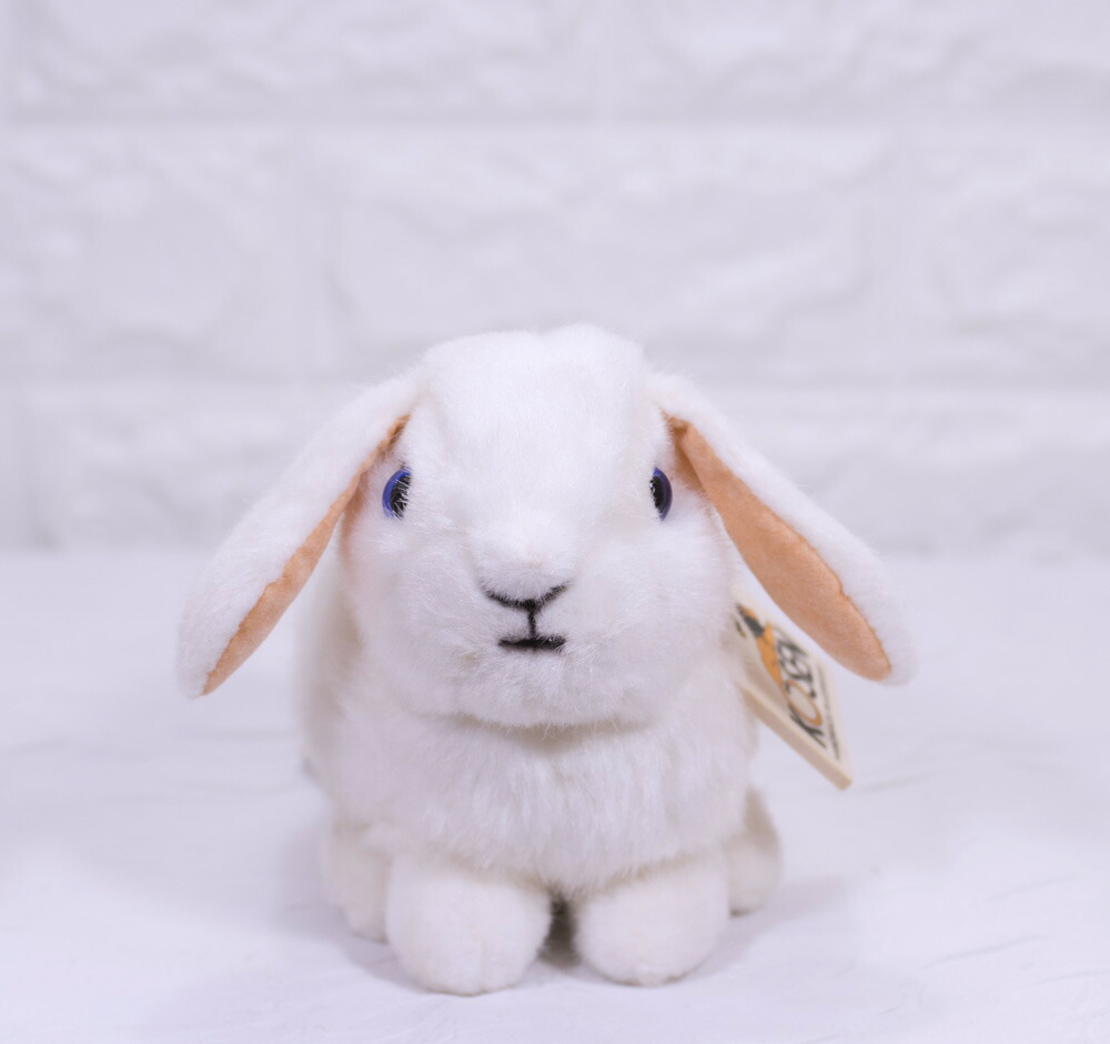 楽天市場】ケーセン ぬいぐるみ kosen ドワーフロップの子 白 うさぎ