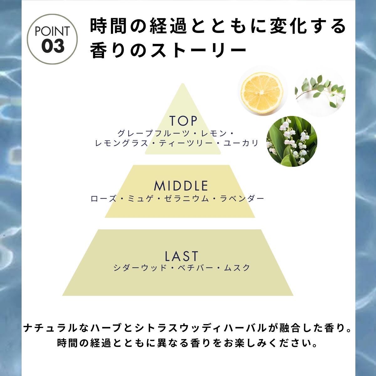楽天市場】【楽天ランキング1位】ボニカ ヘアオイル しっとり 重め