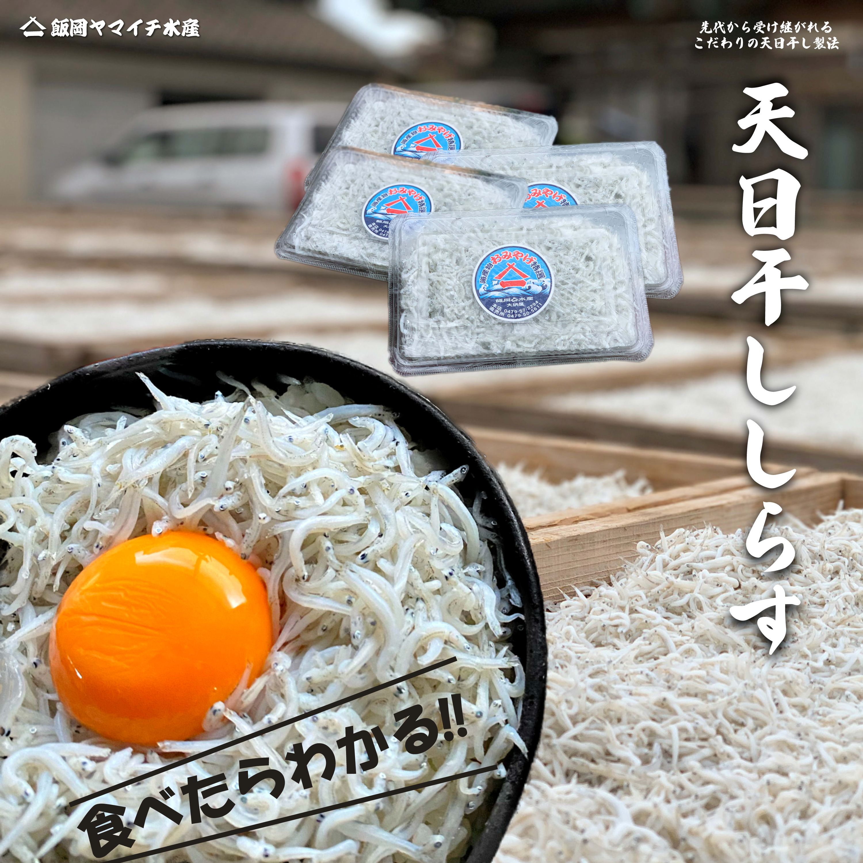 楽天市場】【天日干ししらす 贈答用】【千葉県産】 しらす干し シラス