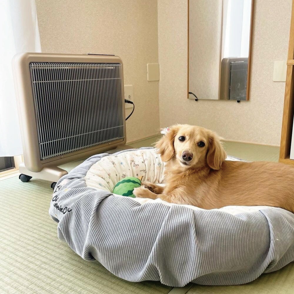 楽天市場】送料無料 2台で3000円お得！「遠赤外線暖房器具 サンルミエ