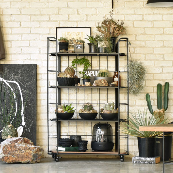 楽天市場】[LD シェルフラック80] 棚 飾り ディスプレイ メッシュ