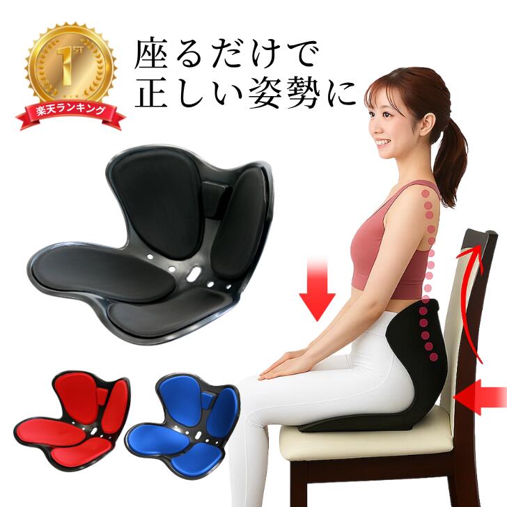 姿勢矯正クッション ダークパープル Style 骨盤・姿勢矯正クッション