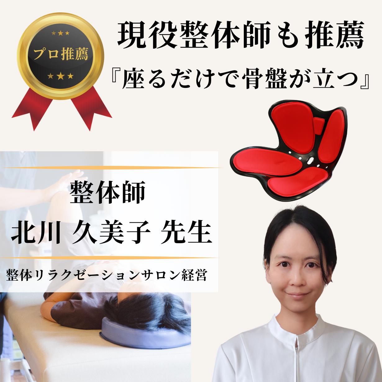 楽天市場】楽天1位 骨盤矯正 椅子 クッション 姿勢矯正 グッズ 座椅子