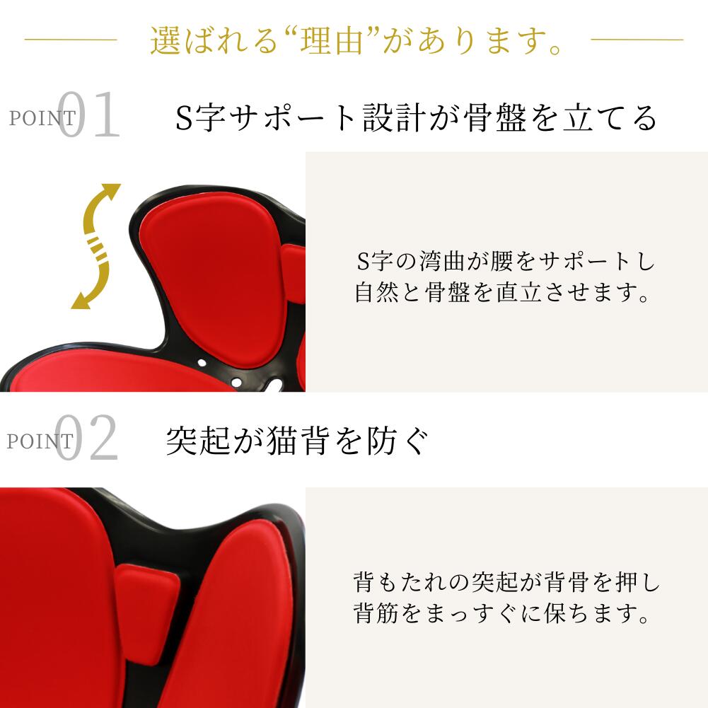 楽天市場】【1000円クーポン】 楽天1位 骨盤矯正 椅子 クッション