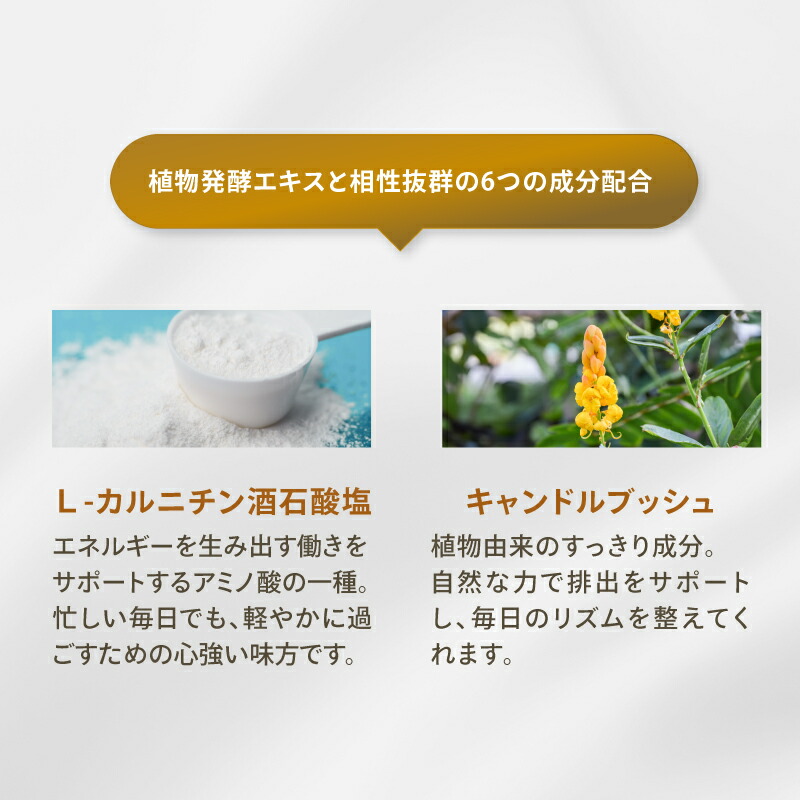 楽天市場】【公式】選べる 生酵素 サプリ 230種植物発酵エキス配合