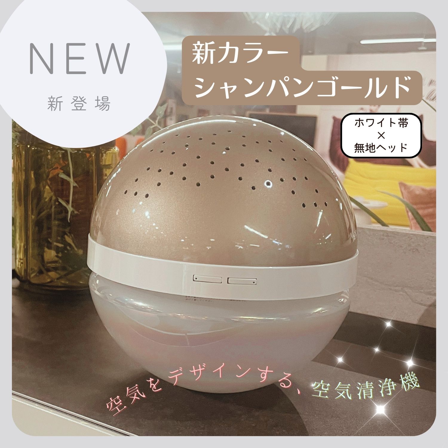 マジックボール ソリューション」の人気商品一覧 | 安い商品を通販