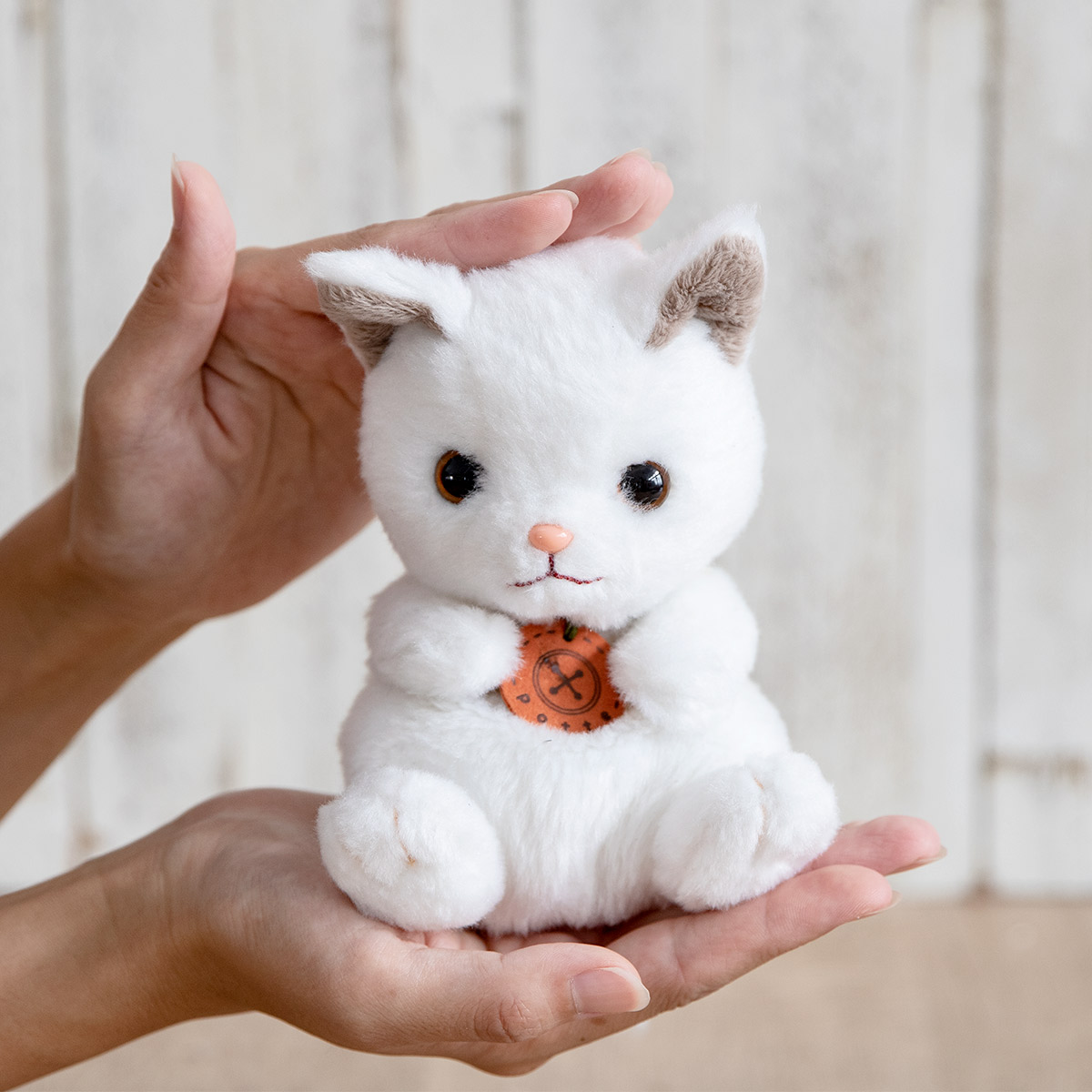 楽天市場】ぬいぐるみ potte 白猫 猫 （ ヌイグルミ ねこ ネコ 動物